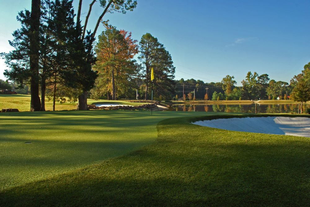 Vancouver Artificial Turf Golf Course
