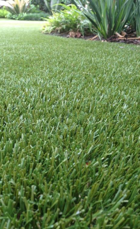 Vancouver artificial grass