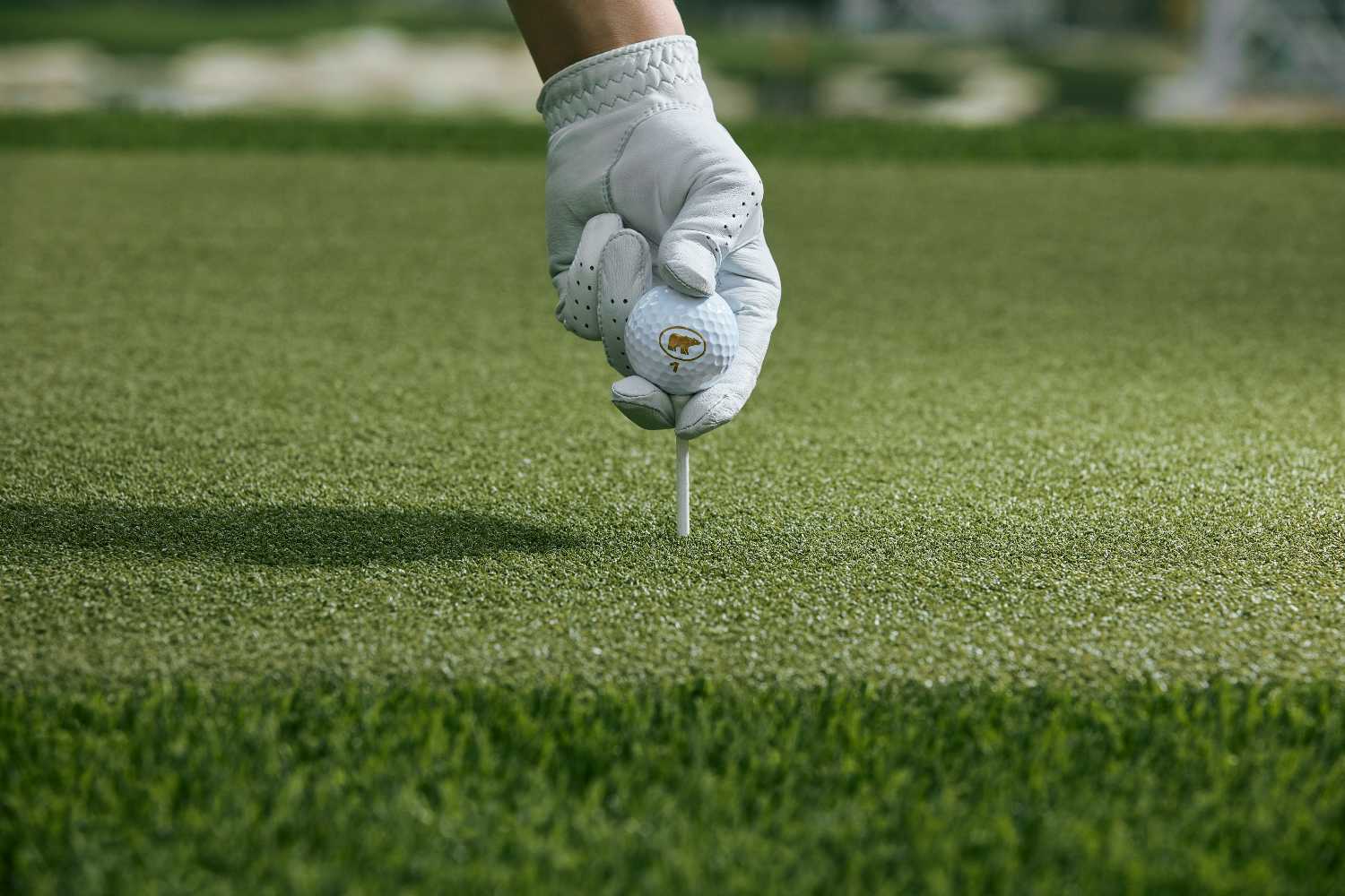 Vancouver driving range