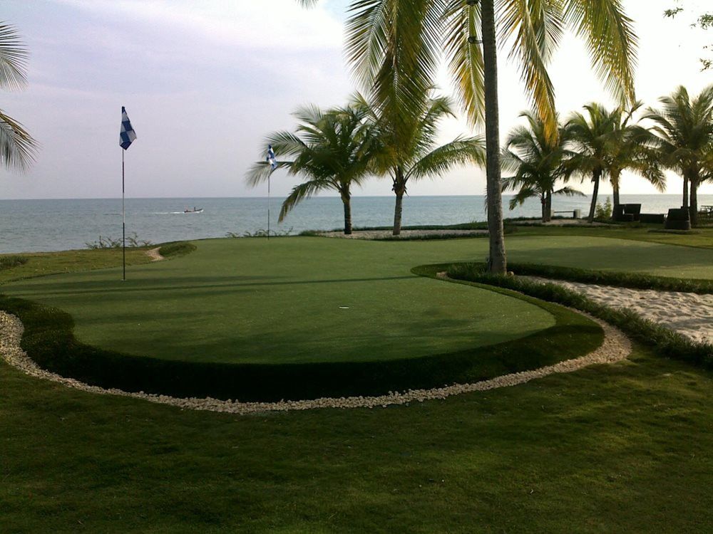 Vancouver artificial grass landscaping