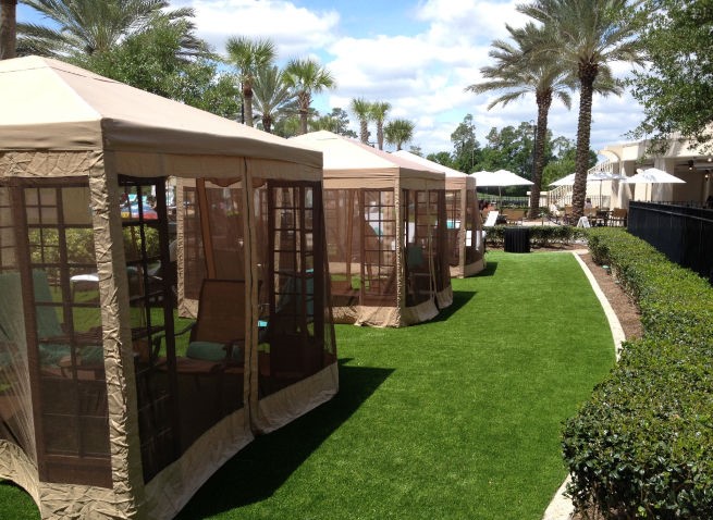 Vancouver commercial landscape turf