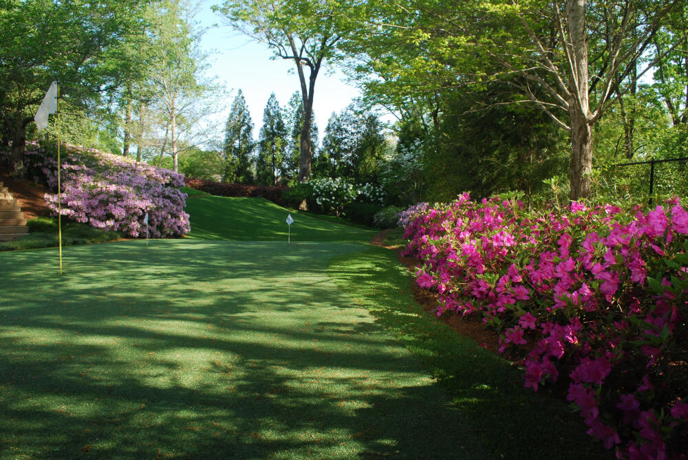 Vancouver backyard putting green grass